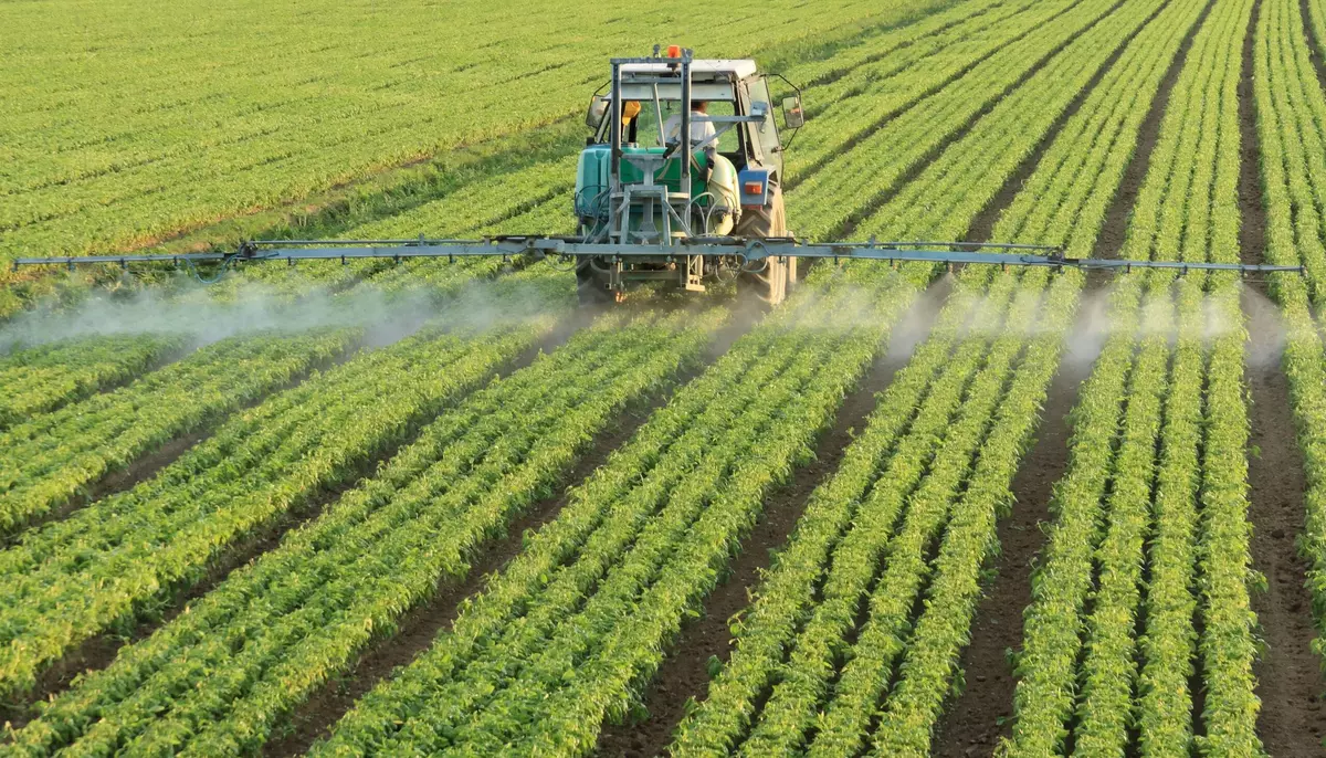 Fermierii români caută soluții pentru secetă. Noile tehnici genomice pot schimba agricultura 