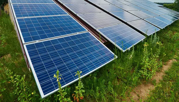 Energia solară a fost principala sursă de electricitate a Uniunii Europene în iunie. Fotovoltaicul a furnizat un nivel record de 25% din producția totală 