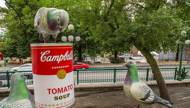 Povestea Campbell: Cum a devenit supa condensată un simbol al industriei alimentare americane și al artei pop