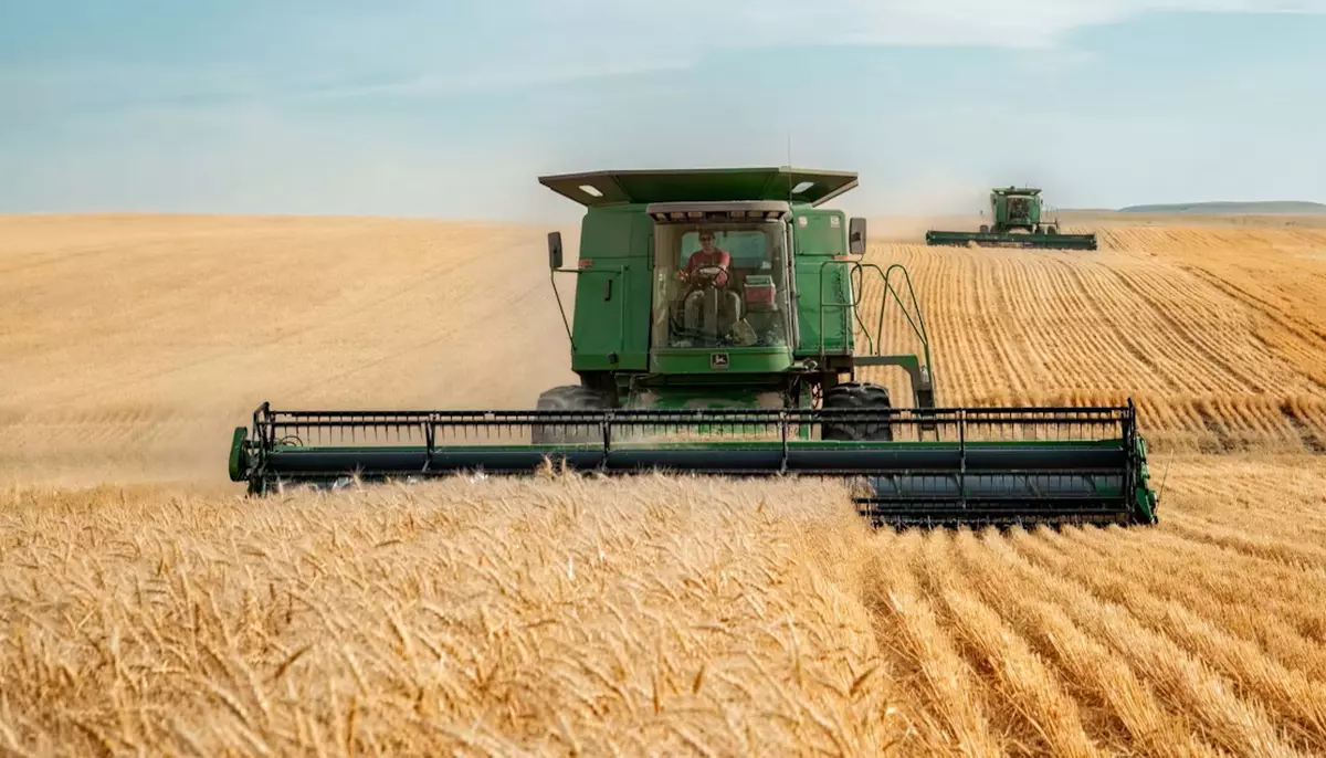 Războiul Rusiei amenință din nou prețul pâinii. Grâul s-a scumpit cu 5,8% într-o lună