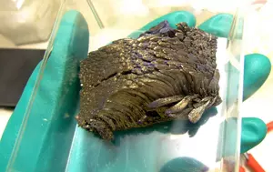 România vrea să se impună pe piața globală a mineralelor rare. Ce șanse avem să prindem un loc la masa bogaților