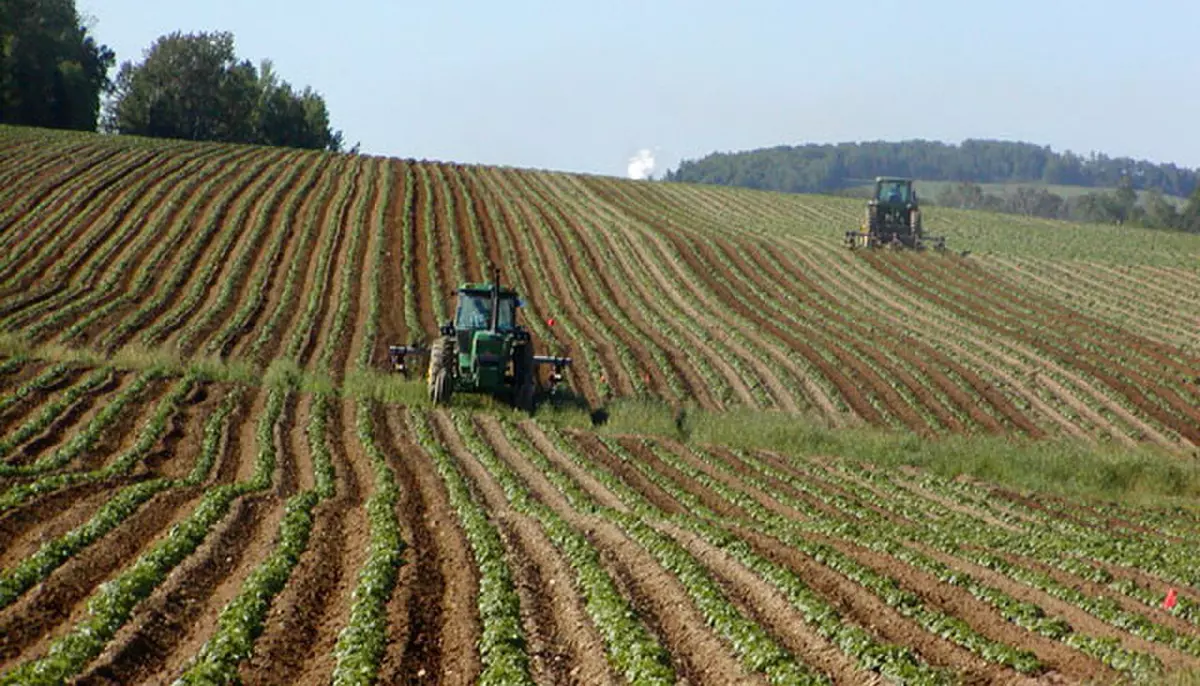 Agricultura românească a pierdut 70% din profit. Fermierii au fost afectați de secetă, cereale ieftine și costuri mari 