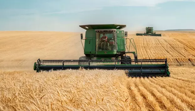 Războiul Rusiei amenință din nou prețul pâinii. Grâul s-a scumpit cu 5,8% într-o lună