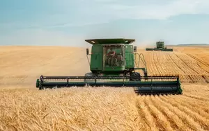 Războiul Rusiei amenință din nou prețul pâinii. Grâul s-a scumpit cu 5,8% într-o lună