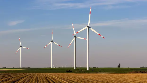 Avertisment din partea șefului AIE: Ritmul lent al electrificării Europei reprezintă o greșeală majoră