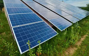 Energia solară se dezvoltă rapid, dar nu fără compromisuri. Noile proiecte pot schimba viitorul agriculturii, pădurilor și naturii 