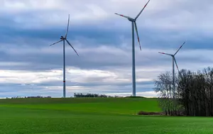 Ministerul Mediului a atras 118 milioane de euro în 10 luni. Programul RO-Tranziție Verde primește cea mai mare finanțare