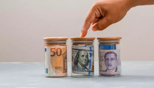 Românii își păstrează tot mai mult economiile în valută. Economiile în lei au stagnat aproape complet