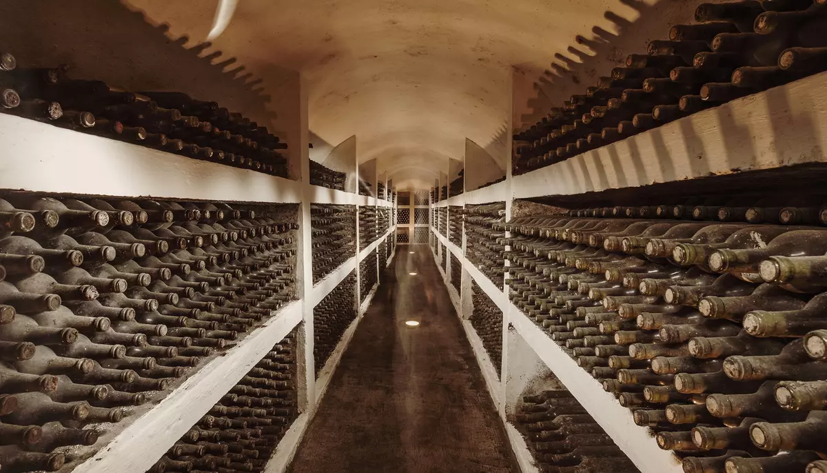 Purcari Wineries și-a îmbunătățit profitabilitatea, în pofida scăderii veniturilor. Marja EBITDA a ajuns la 28,5% 
