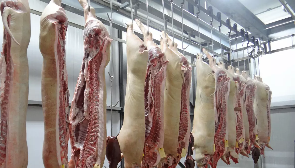 Carnea de porc românească s-a ieftinit cu 7% într-o săptămână. Fermierii spun că vând sub cost