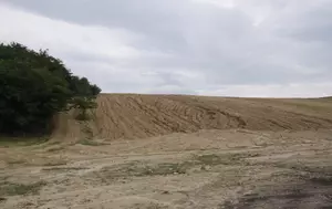 Statul pune 32.000 de hectare la dispoziția regenerabilelor. România rezolvă problema terenului, dar nu și pe cea a rețelei