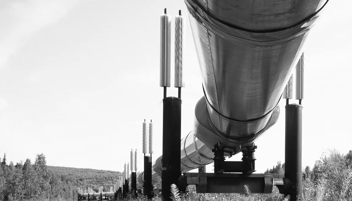 Comisia Europeană cere umplerea depozitelor de gaze pe fondul crizei din Iran. Oficial de la Bruxelles: „O injecție timpurie este preferabilă”