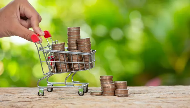 Ce este puterea de cumpărare și de ce salariul mai mare nu înseamnă întotdeauna o viață mai bună