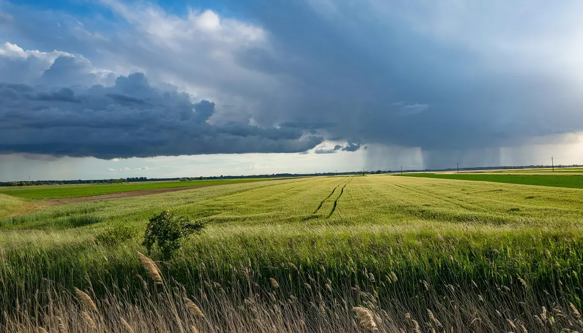 Agricultura românească câștigă teren. Suprafața cultivată a crescut cu 40.000 de hectare