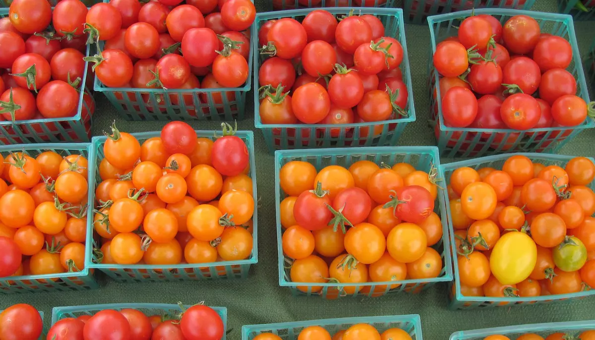 Sezamo caută fermieri la 80 km de București de la care să ia marfă proaspătă. Supermarketul online vrea livrarea produselor în 6 ore