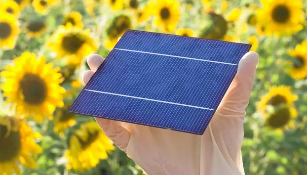 Cooperativele agricole vor să-și producă singure energia. 77 de structuri se pregătesc să devină „comunități energetice”
