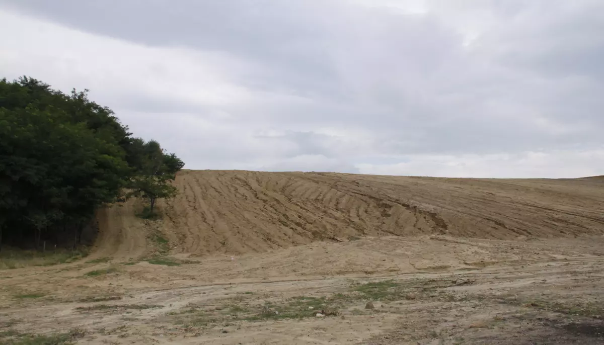 Statul pune 32.000 de hectare la dispoziția regenerabilelor. România rezolvă problema terenului, dar nu și pe cea a rețelei