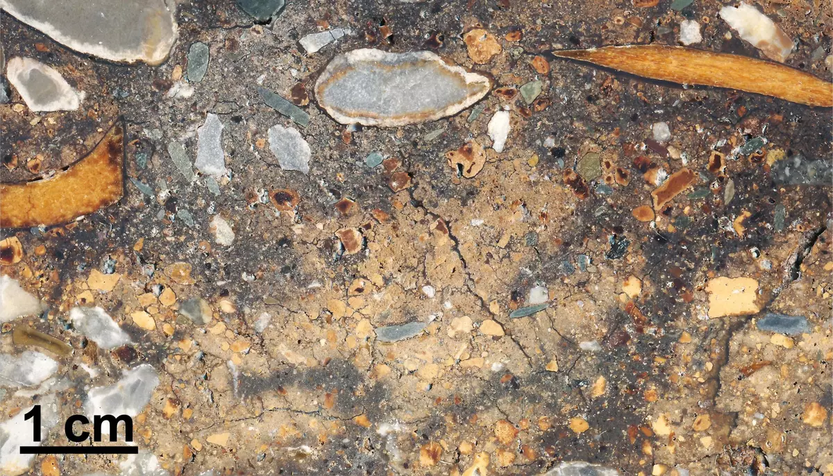 Pământul e o arhivă. ADN-ul din sedimentele epocii glaciare rescrie istoria originilor umane