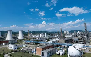 Chimcomplex renunță la investiția de 100 milioane euro din Onești. Prețurile la energie, principala cauză