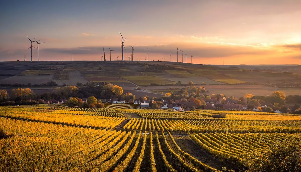 Criză în agricultură. Fermierii din toată Europa merg la Bruxelles, sufocați de scumpirea îngrășămintelor
