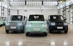 Visual fan raportează o cifră de afaceri de 101,6 milioane lei.  Creșterea este susținută de Allwiew Energy și Auto 