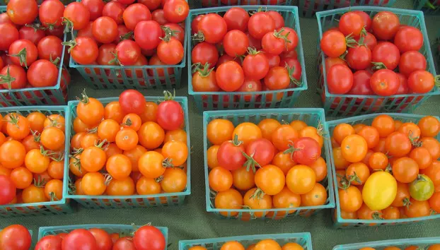 Sezamo caută fermieri la 80 km de București de la care să ia marfă proaspătă. Supermarketul online vrea livrarea produselor în 6 ore
