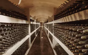 Purcari Wineries și-a îmbunătățit profitabilitatea, în pofida scăderii veniturilor. Marja EBITDA a ajuns la 28,5% 