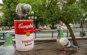 Povestea Campbell: Cum a devenit supa condensată un simbol al industriei alimentare americane și al artei pop