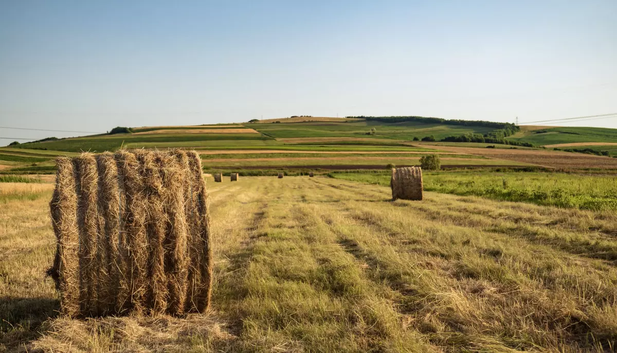 Insolvențele agricole cresc cu aproape 80%. Criza ajunge la fermele mari și lovește întregul lanț