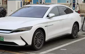 BYD solicită aderarea la asociația producătorilor europeni. Organizația ACEA are 17 membri